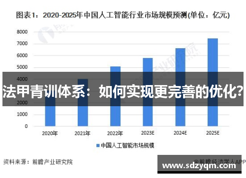 法甲青训体系：如何实现更完善的优化？