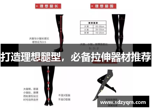 打造理想腿型，必备拉伸器材推荐