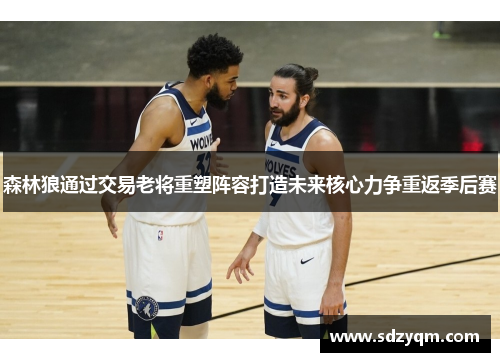 森林狼通过交易老将重塑阵容打造未来核心力争重返季后赛