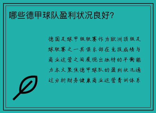 哪些德甲球队盈利状况良好？